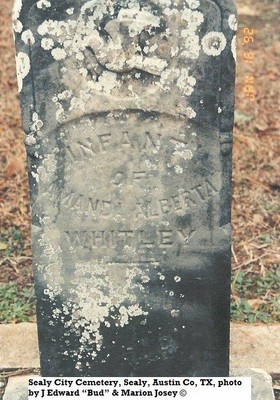 Whitley, Infanf, Sealey Cem, Austin Co, TX.jpg