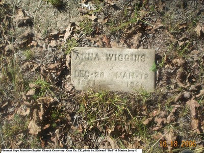Wiggins, Anna, Pleasant Hope Cem, Cass Co, TX.jpg