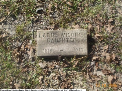 Wiggins, D.O. Larue, Pleasant Hope Cem, Cass Co, TX.jpg