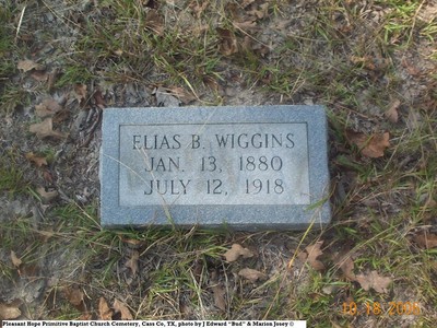 Wiggins, Elias B, Pleasant Hope Cem, Cass Co, TX.jpg