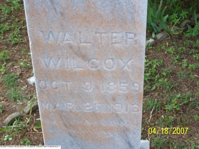 Wilcox, Walter, Alexander Cem, Brazos Co, TX.jpg