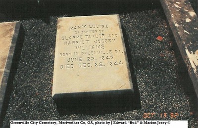 Williams, Mary Louisa, Greenville Cem, Meriweather Co, GA.jpg
