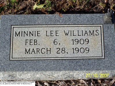 Williams, Minnie Lee, New Home Primitive Baptist Cem, Covington Co, AL.jpg