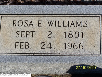 Williams, Rosa E, New Home Primitive Baptist Cem, Covington Co, AL.jpg