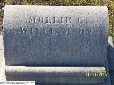 Williamson, Mollie Cain, Oakey Streek Methodist Cem, Butler Co, AL.jpg