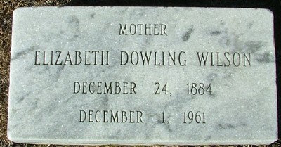 Wilson, Elizabeth Viola Dowling, Philadelpha Cem, Darlington Co, SC.jpg