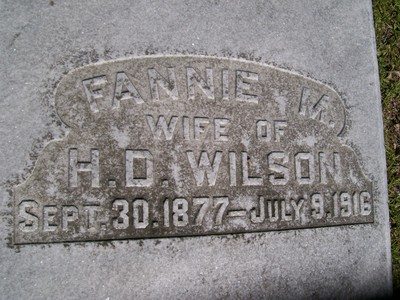 Wilson, Fannie Margaret Elliott, Hazlehurst Cem, Jeff Davis Co, GA.jpg