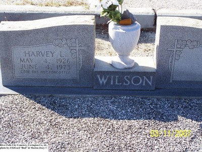 Wilson, Harvey L, River Falls City Cemetery, Covington Co, AL.jpg