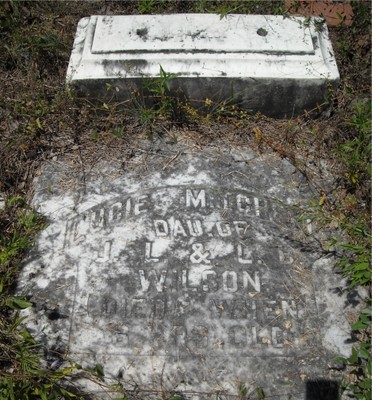 Wilson, Lucile Mitchel, Pineview Cem, Marion Co, GA.jpg