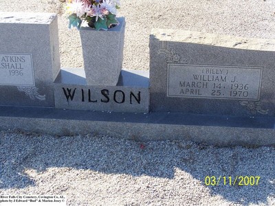Wilson, William J, River Falls City Cemetery, Covington Co, AL.jpg