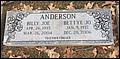 Anderson, Billy Joe & Betty Jo Slaton, Concord Cem, Hopkins Co, KY.jpeg