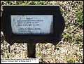 Askew, William Delmus, Josey Baptist Church Cemetery, Washington Co, GA, 040 [800x600].jpg