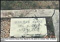 Avant, Homer B, Buena Vista Cem, Marion Co, GA.jpg