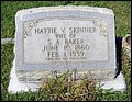 Baker, Hattie V Skinner, Lamar Cemetery, Darlington Co, SC.jpg