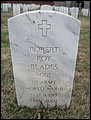 Blades, Robert Roy, Anderson National Cemetery, Sumter Co, SC.jpg