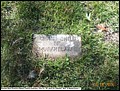 Blakney, Grand Child, Pleasant Hope Cemetery, Cass Co, TX 067.jpg