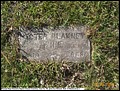 Blakney, Hester W.O. A.J, Pleasant Hope Cemetery, Cass Co, TX 101.jpg