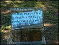 Bostick, James West, Sealy Cemetery, Austin Co, TX.jpg
