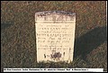 Boykin, Roxey Lany DeBose, Mt Elon Cem, Darlington Co, SC.jpg