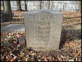 Braisted, Cornelius, Merrill Cem, Richmond Co, NY.jpg