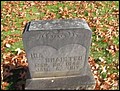 Braisted, Ida Davis, Old Auburn Cem, Placier Co, CA.jpg