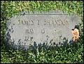 Brandon, James Thomas, Bethany Presby. Cem, York Co, SC.jpg