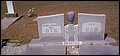 Brantley, Benjamin & Alberta King, Smow Hill Cem, Wheeler Co, GA.jpg