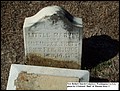 Brett, Little Marvin, New Bethel Church Cem, Washington Co, GA.jpg