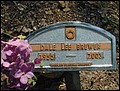 Brewer, Dale Lee, Stoneham Cem, Grimes Co, TX.jpg