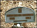 Brewer, Joe Davis, Stoneham Cem, Grimes Co, TX.jpg