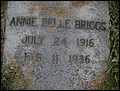 Briggs, Annie Belle, Rose Hil Cem, Bibb Co, GA.jpg