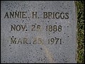 Briggs, Annie Herrin, Rose Hill Cem, Bibb Co, GA.jpg