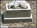 Brinkley, Infant Son,  Trinity Cem, Scotland Neck, Halifax Co, NC.jpg