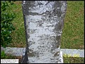 Brinkley, John Thomas, Trinity Cem, Scotland Neck, Halifax Co, NC.jpg