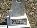 Brinkley, Sadie Telfair,  Trinity Cem, Scotland Neck, Halifax Co, NC.jpg