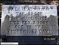 Brook, Sallie A Shine, Oakey Streek Methodist Church Cem, Butler Co, AL.jpg