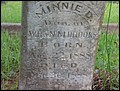 Brooks, Minnie D,  Beech Creek Cemetery, Cass Co, TX.jpg