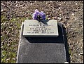 Brooks, William Ellis, Welcome Methodist Cem, Conecuh Co, AL.jpg
