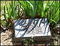 Brothers, Mary Gardner, Gardner Cem, Wheatley Co, TN.jpg