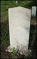 Carver, Feariba Tillis, Carver Cem, Suwannee Co, FL.jpg