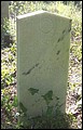 Carver, Henry Wilson, Carver Cem, Suwannee Co, FL.jpg