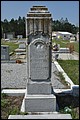 Chambers, William Franklin, Rockwell Cem, Telfair Cpo, GA.jpg