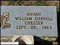 Chesser, William Darrell, Pigeon Creek Baptist Cem, Covington Co, AL.jpg