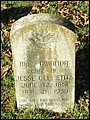 Clements, Amanda Cauthen, Courtland Cem, Cass Co, TX.jpg