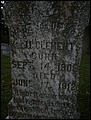 Clements, Wade Arthur, Courtland Cem, Cass Co, TX.jpg