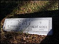 Cole, Frederick & Elizabeth Acree, Pine Forest Cemetery, Lake Co, FL.jpg