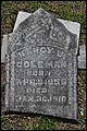 Coleman, Nancy J Scott, Bethel Cem, Emanuel Co, GA.jpg