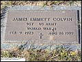 Colvin, James Emmett War, Pigeon Creek Baptist Cem, Covington Co, AL.jpg
