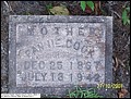Cook, Fannie Linton, Consolation Baptist Church Cemetery, Butler Co, AL.jpg