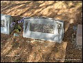 Coolsby, Ellis, Evergreen Cemetery, Alachua Co, FL.jpg
